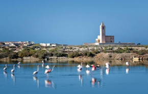 CABO BEACH paradise, Cabo De Gata